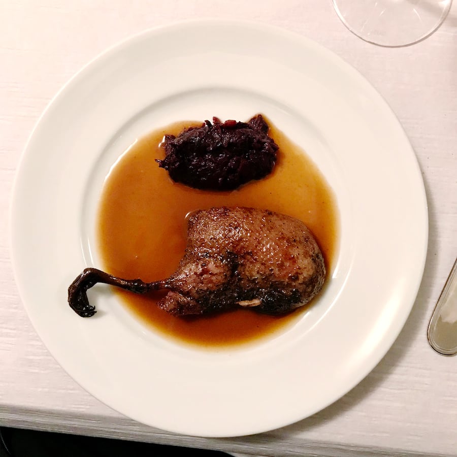 Krickente im Gamper in Zürich von Marius Frehner