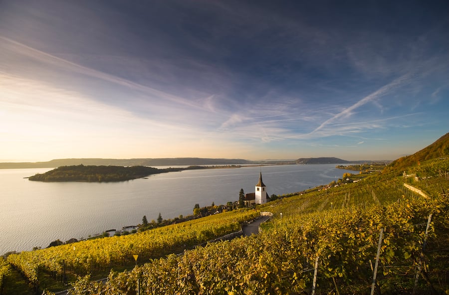 Ligerz, Postkartenblick auf die Reben Kirche , See und St. Petersinsel,Ligerz, Bielersee, Bern, Schweiz,