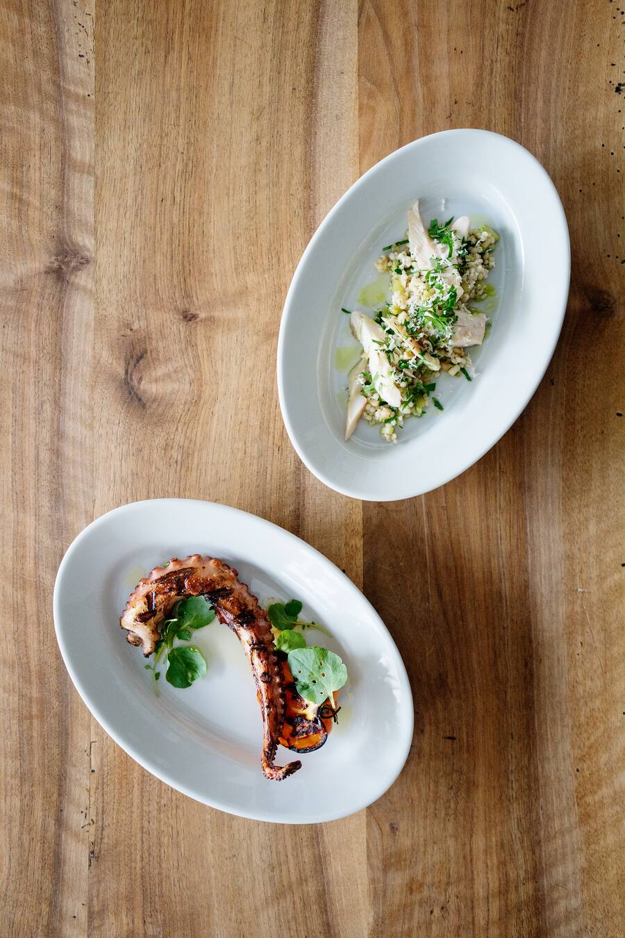 Pulpo im Restaurant Lotti in Zürich