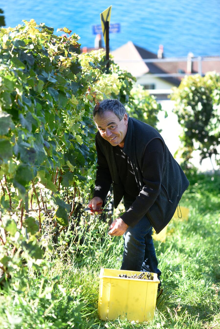 Luc Blondel dans ses vignes