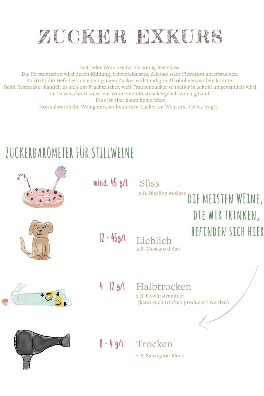 Madelyne Meyer Endlich Wein verstehen