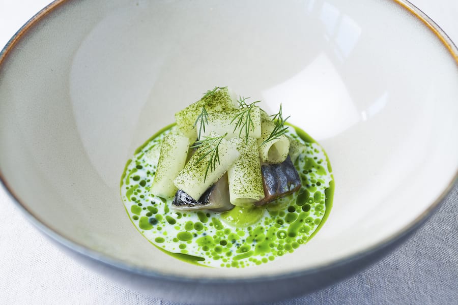 Makrele Pascal Steffen