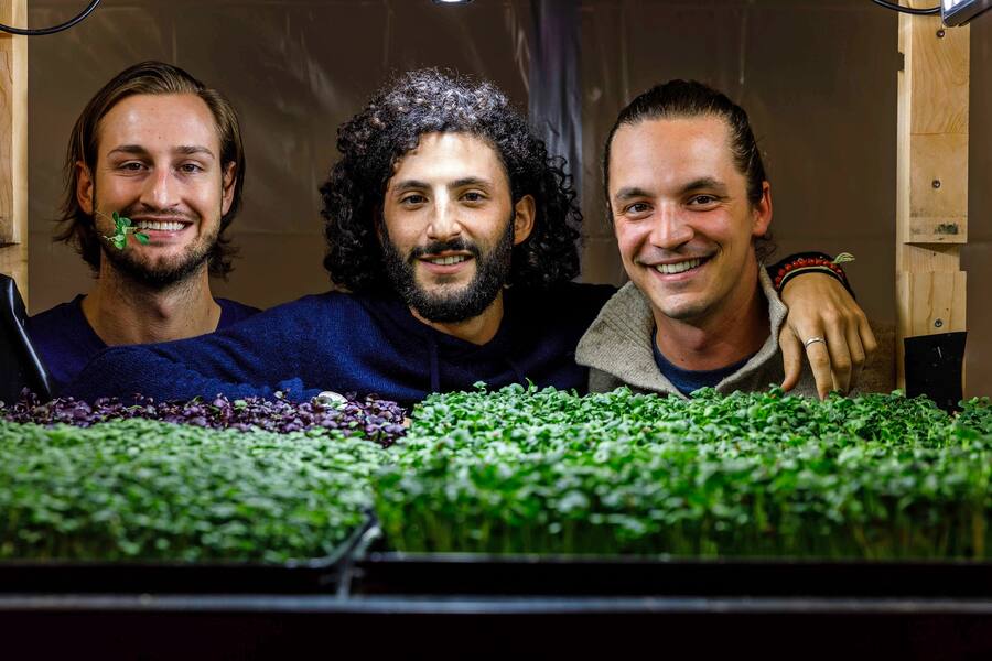 Microgreens Team