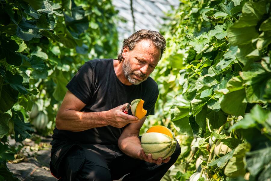 Marcel Foffa Produziert Schweizer Melonen 2020: Silvio Germann besucht ihn.
