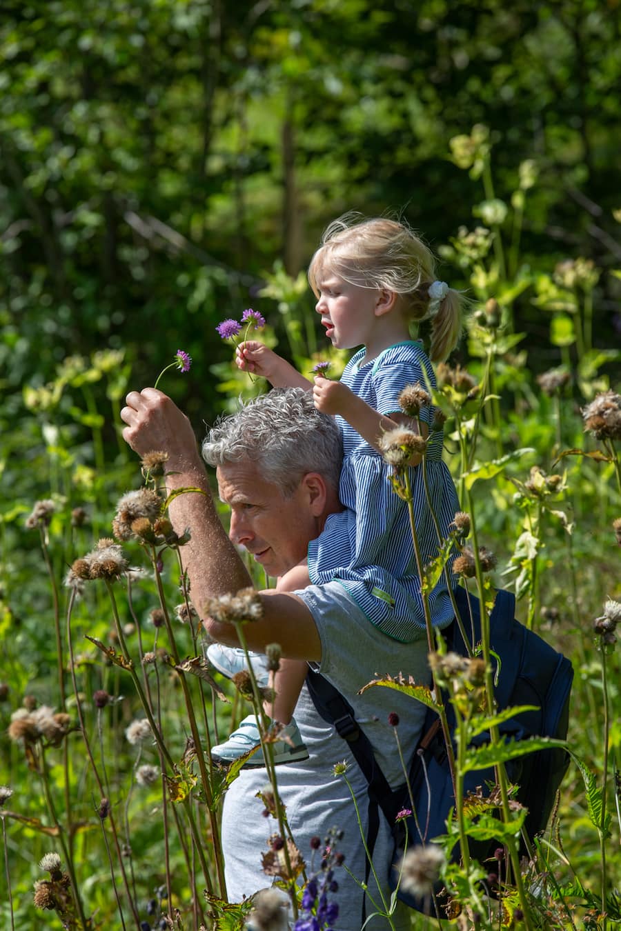 Martin Göschel mit Tochter Ladina beim Pflücken, Wandern im Gebiet Lauenen.