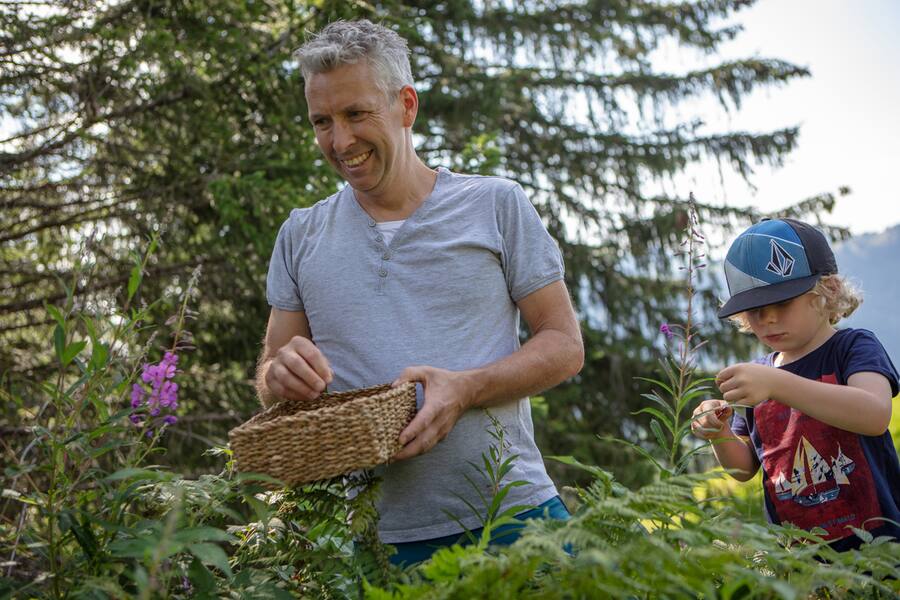 Martin Göschel mit Sohn Linard, beim Pflücken von Weideröschen im Gebiet Lauenen.