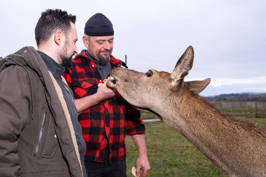 Avec Alexandre Benoit éleveur de canards, cerfs et chevreuils à Thierrens