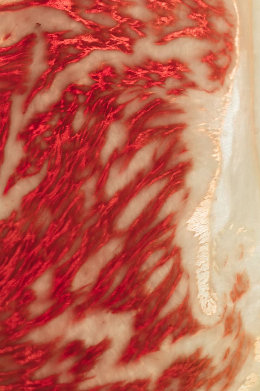 Luma Delikatessen in der Salumeria von Bigler