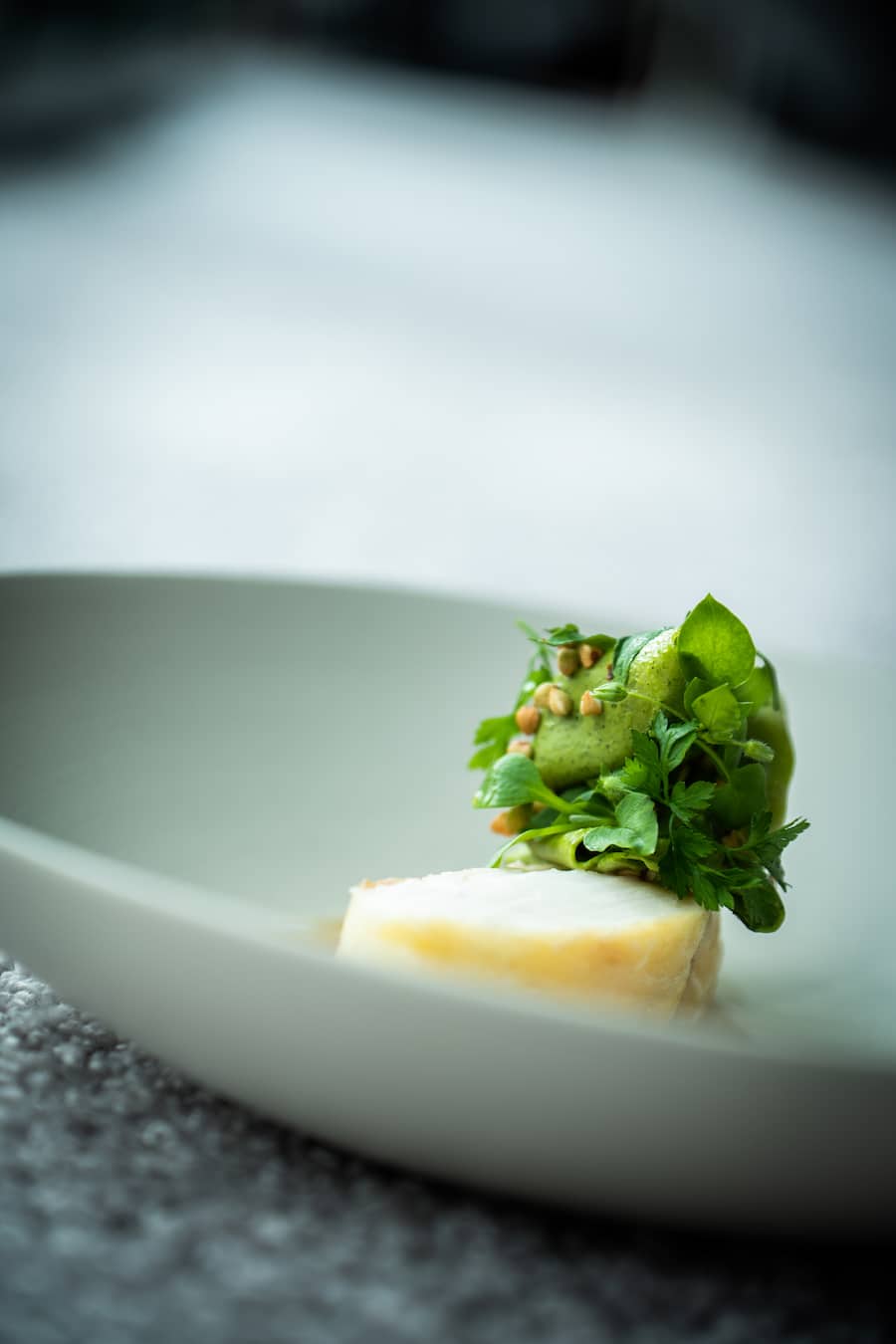 Steinbutt Mitja Birlo