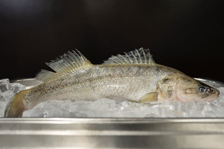 Restaurant Lux Kongresshaus Zürich