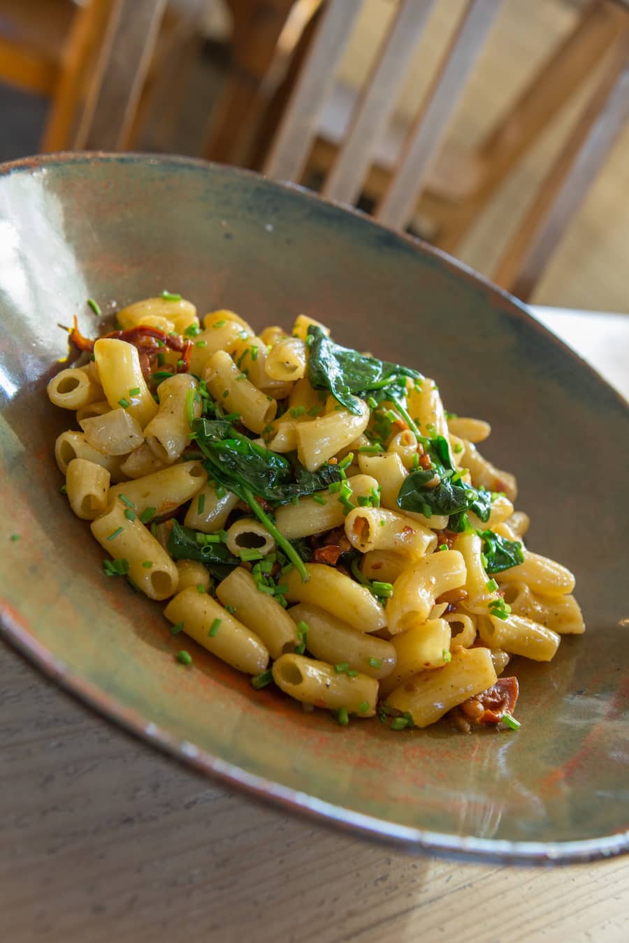 Tagespasta (Macaroni mit Pinienkernen, getrockneteTomaten, Ricotta, Spinat)