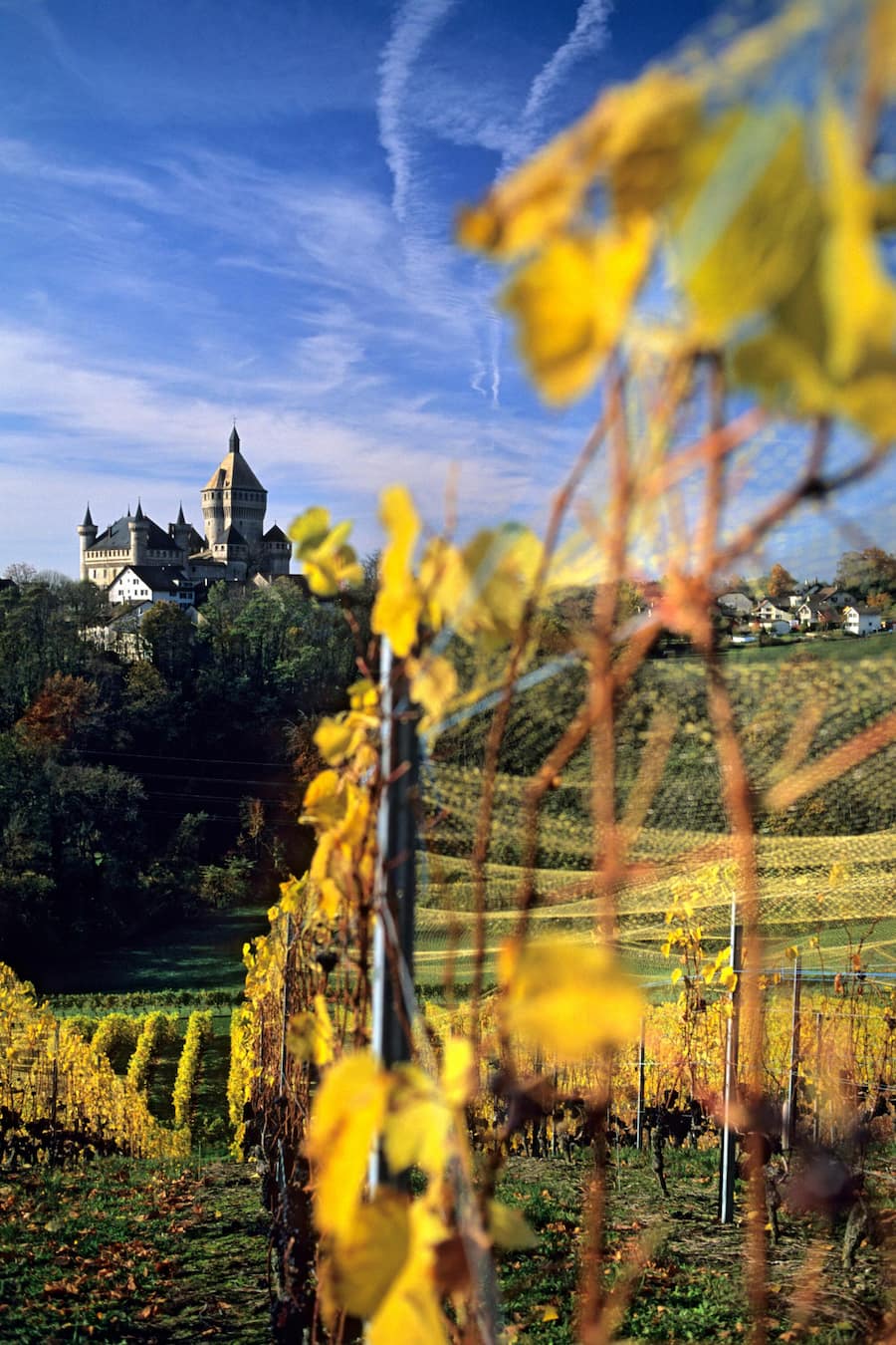 Winzer Ikone Henri Cruchon Domaine Cruchon Dezember 2021