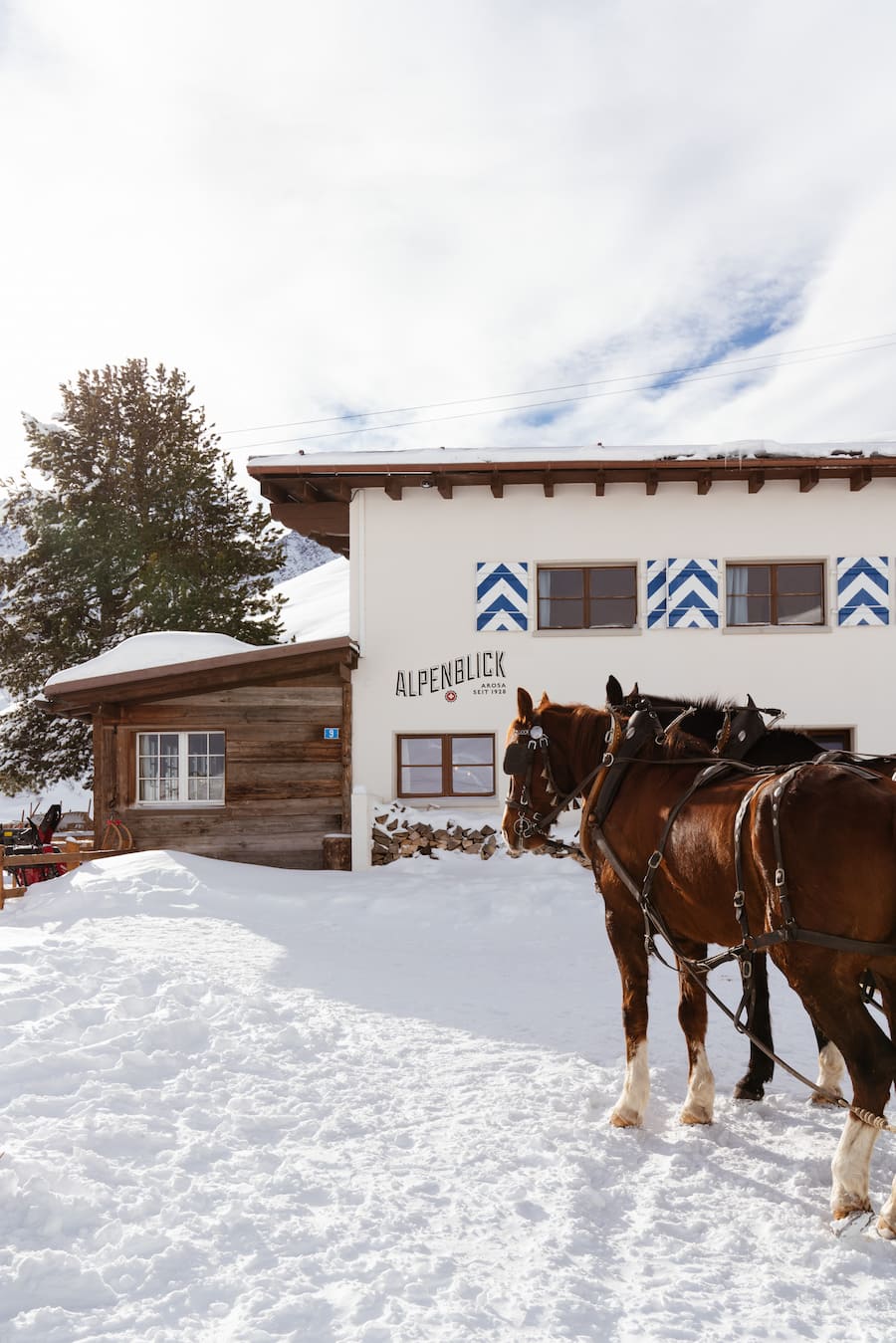 Alpenblick, Arosa - Beat Caduff & Hitsch Leu - 7. Januar 2022 - Copyright Olivia Pulver