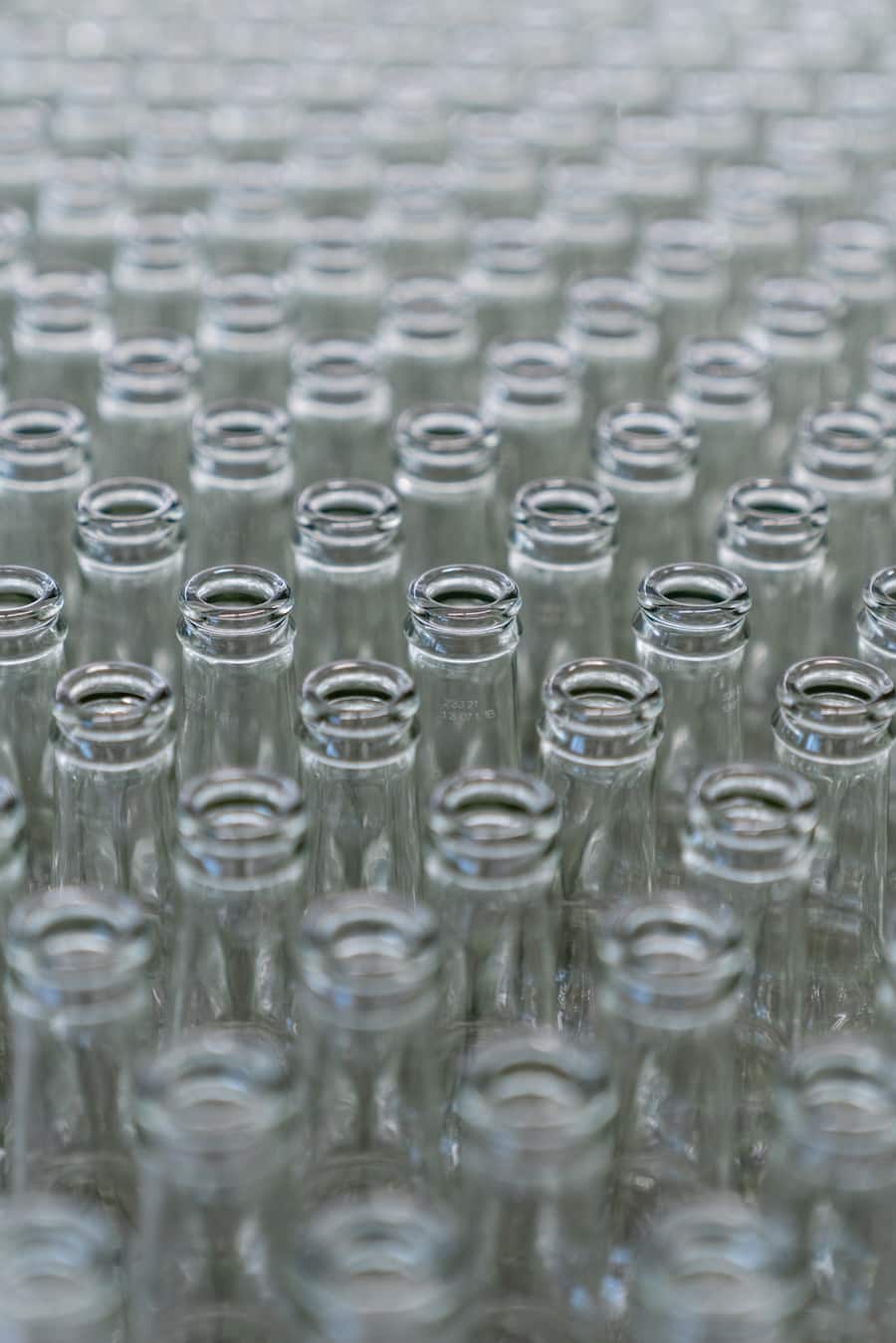 Swiss Mountain Spring ist ein innovatives Start-up, das Tonics und Ginger Ales aus Bergquellwasser herstellt. - Allschwil - 13.1.2022 - Copyright Olivia Pulver