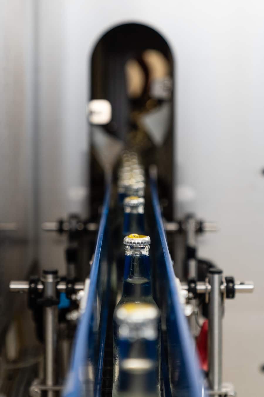 Swiss Mountain Spring ist ein innovatives Start-up, das Tonics und Ginger Ales aus Bergquellwasser herstellt. - Allschwil - 13.1.2022 - Copyright Olivia Pulver