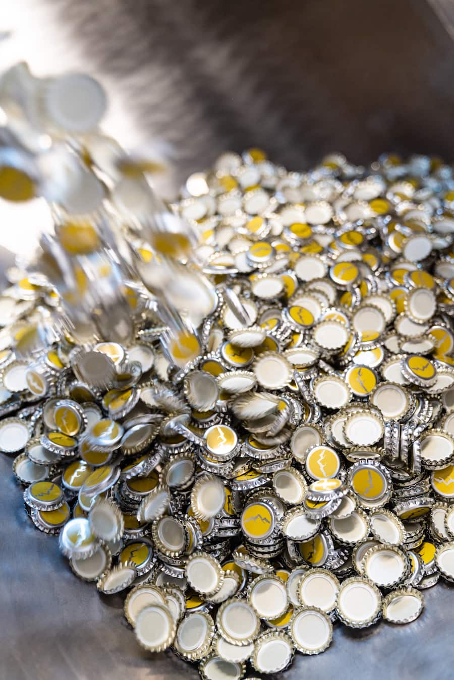 Swiss Mountain Spring ist ein innovatives Start-up, das Tonics und Ginger Ales aus Bergquellwasser herstellt. - Allschwil - 13.1.2022 - Copyright Olivia Pulver