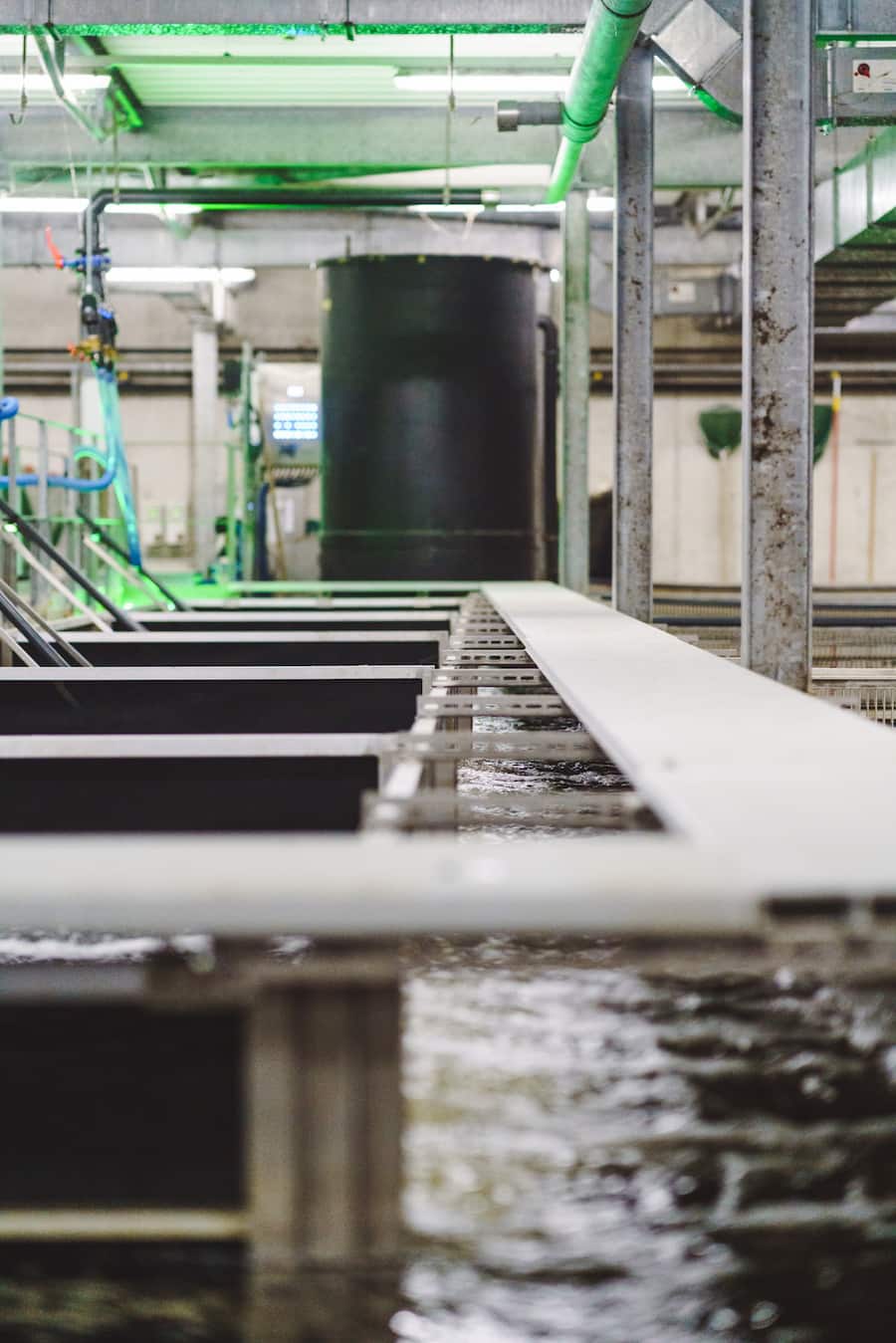 Swifish AG Leuk (VS) - Besuch der Fischzucht Alpen-Zander mit Bianchi und den Igniv-Chefs - Bianchi: Marina Hofmann, Luca Bianchi - Igniv: Marcel Skibba, Silvio Germann, Daniel Zeindlhofer - 31.1.2022 - Copyright Olivia Pulver