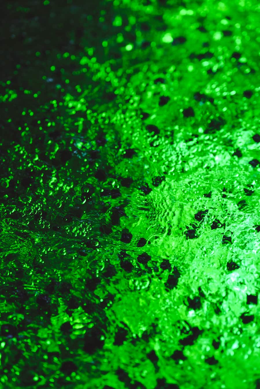 Swifish AG Leuk (VS) - Besuch der Fischzucht Alpen-Zander mit Bianchi und den Igniv-Chefs - Bianchi: Marina Hofmann, Luca Bianchi - Igniv: Marcel Skibba, Silvio Germann, Daniel Zeindlhofer - 31.1.2022 - Copyright Olivia Pulver