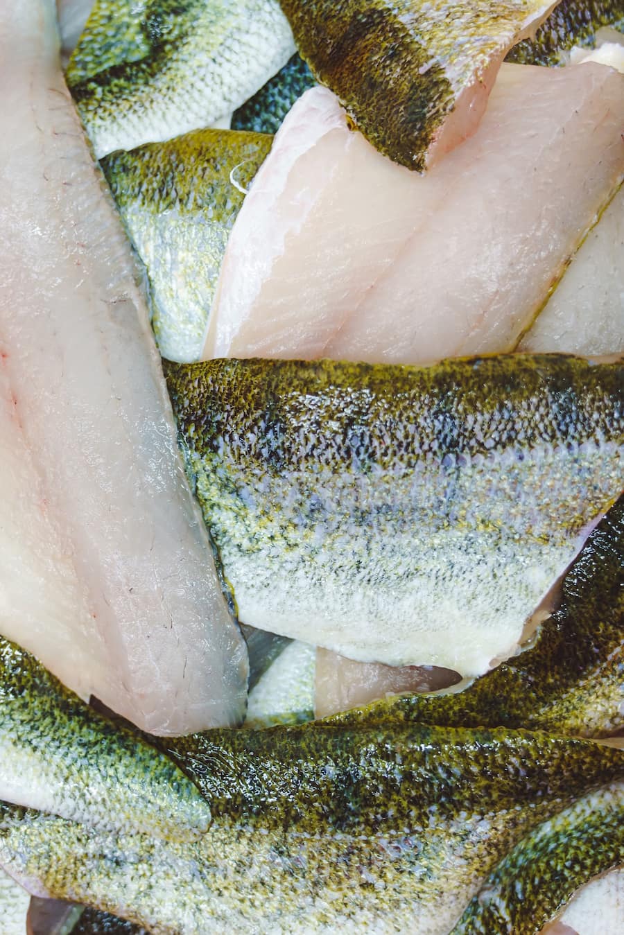 Swifish AG Leuk (VS) - Besuch der Fischzucht Alpen-Zander mit Bianchi und den Igniv-Chefs - Bianchi: Marina Hofmann, Luca Bianchi - Igniv: Marcel Skibba, Silvio Germann, Daniel Zeindlhofer - 31.1.2022 - Copyright Olivia Pulver