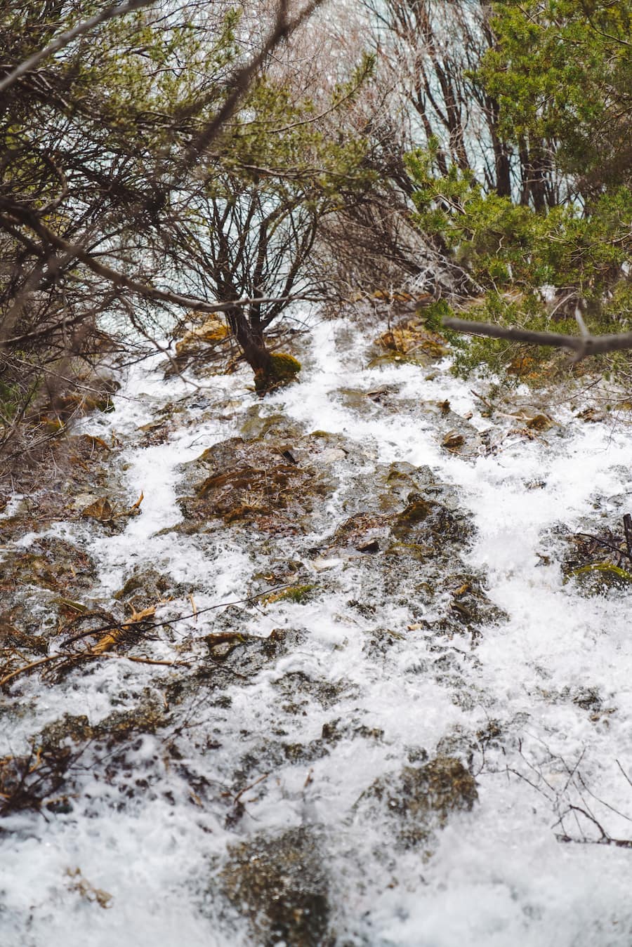 Quelle - Swifish AG Leuk (VS) - Besuch der Fischzucht Alpen-Zander mit Bianchi und den Igniv-Chefs - Bianchi: Marina Hofmann, Luca Bianchi - Igniv: Marcel Skibba, Silvio Germann, Daniel Zeindlhofer - 31.1.2022 - Copyright Olivia Pulver