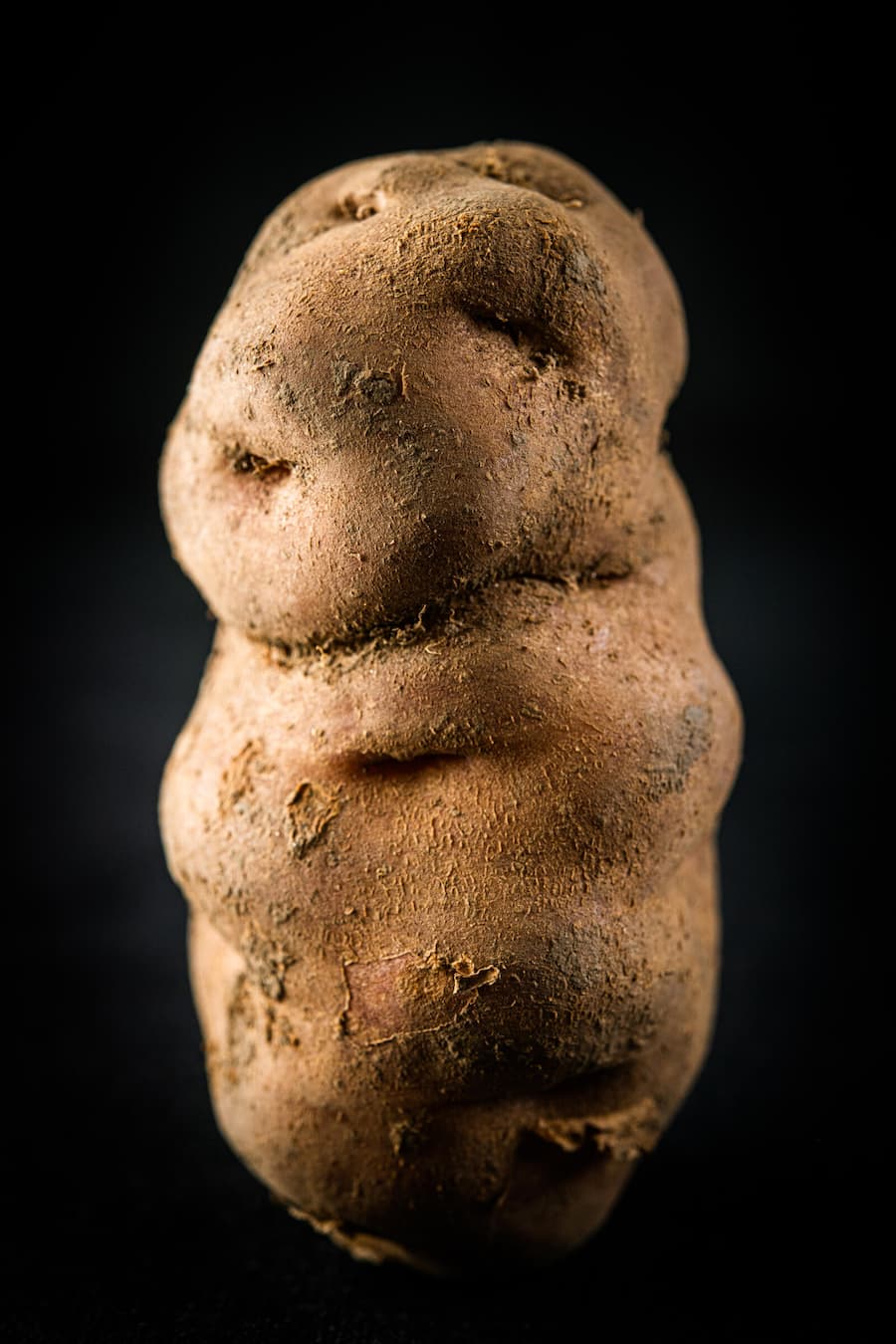 Aphrodisierende Lebensmittel Jelmoli Food Market Zürich