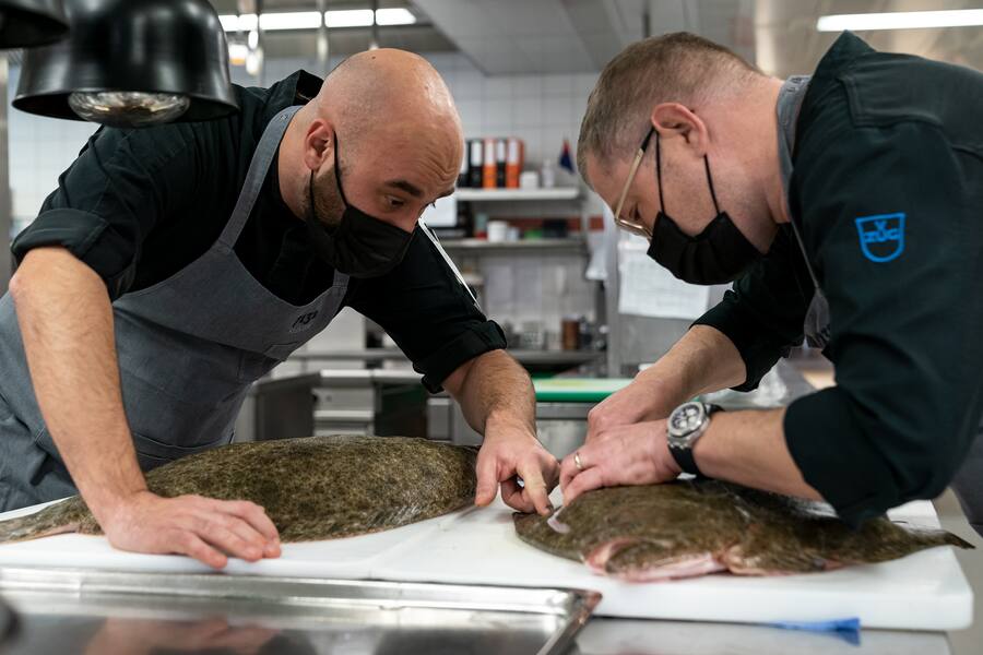 Mitja Birlo David Schnapp