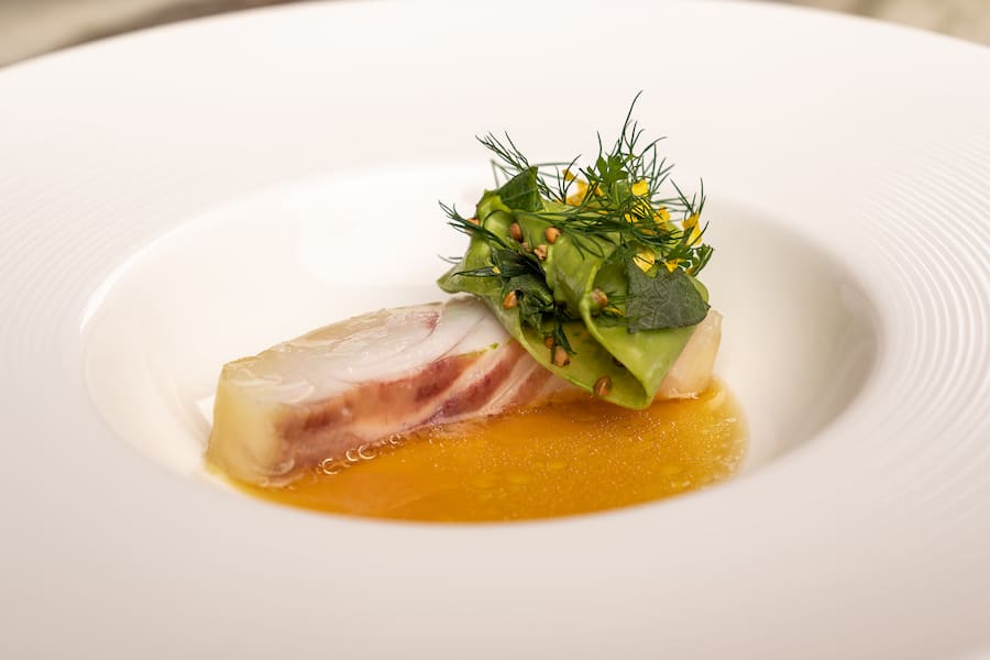 Steinbutt Mitja Birlo