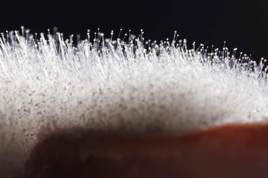 Luma Delikatessen Neuhausen