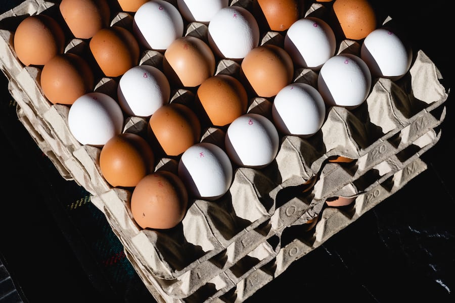 Rolf Fuchs, Panorama, Steffisburg, Eier, Ostern, Simone Probst, Eierlieferantin