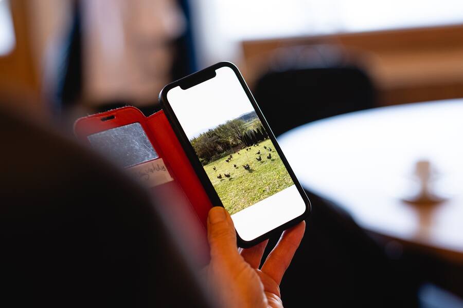 Rolf Fuchs, Panorama, Steffisburg, Eier, Ostern, Simone Probst, Eierlieferantin