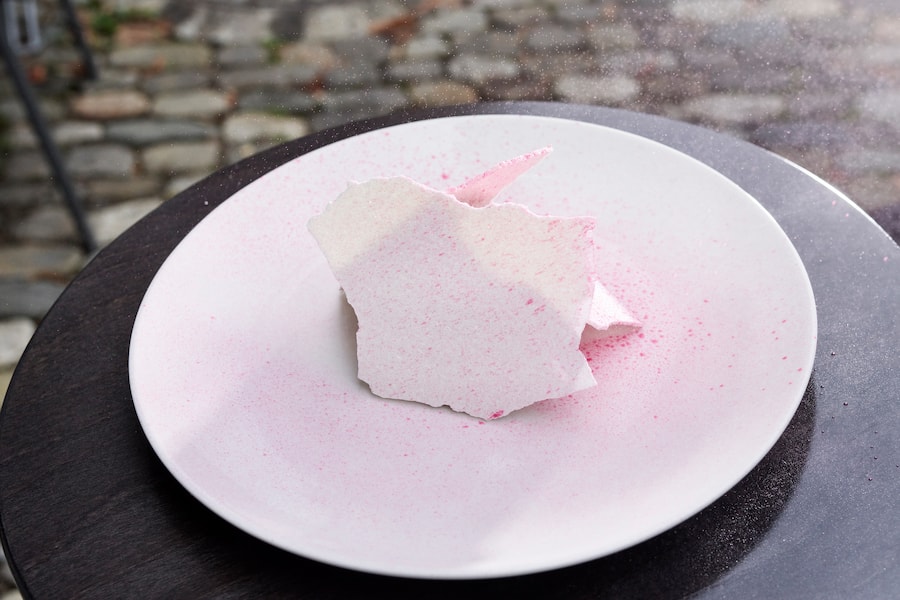 Johannisbeeren Niklas Schneider