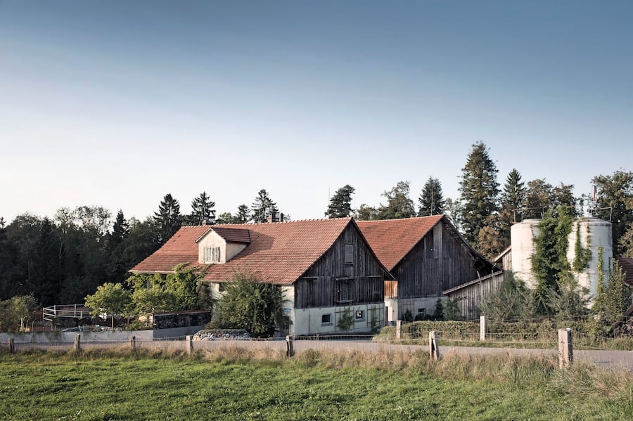 Nils Muller is the only farmer allowed to kill his beefs with a gun in his farm. Nils Muller est le seul fermier de Suisse a etre autorise a tuer par arme a feu les boeufs qu'il eleve. La ferme de Nils. Forch, Suisse. 27 septembre 2016. Bauernhof Zur chalte Hose, Claudia Wanger und Nils Müller. Bauernhof Zur chalte Hose im Jahre 2016.