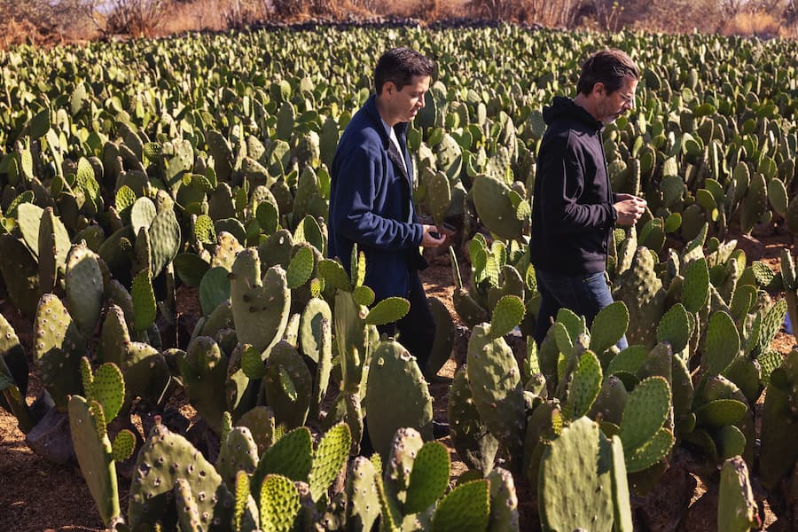 Caminada. Das Magazin Rubrik Don't miss Starchefs in Mexiko Mai 2022