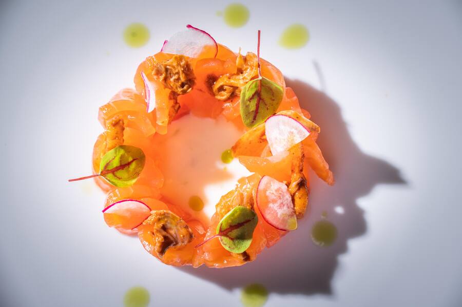 Caterina Sara Vosti 2021: Salmone Svizzero leggeremente marinato, cavolo fermentati picante, Bergamotto