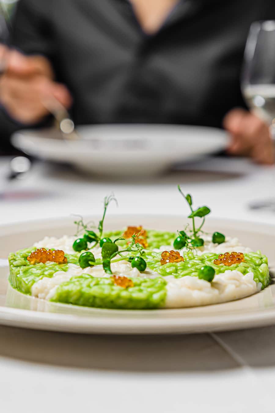 Grand Hotel Villa Castagnola, Lugano, TI