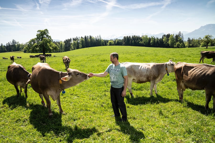 Käserei Hildisrieden Produktion Sbrinz AOP 2022