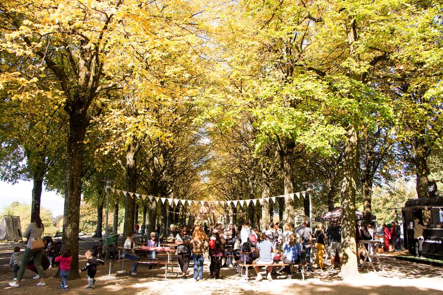 Miam Festival Lausanne à Table