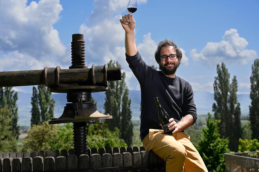 Jean-David Gaillard, Domaine de la Planta