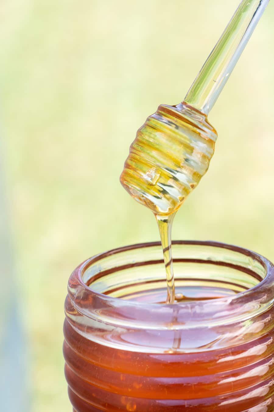 Bienen und Imkerin des Living Circle, Gault Millau, Imkerin Monika Istok, Herrliberg (Schlattgut), Herrliberg ZH, 20. Juni 2022