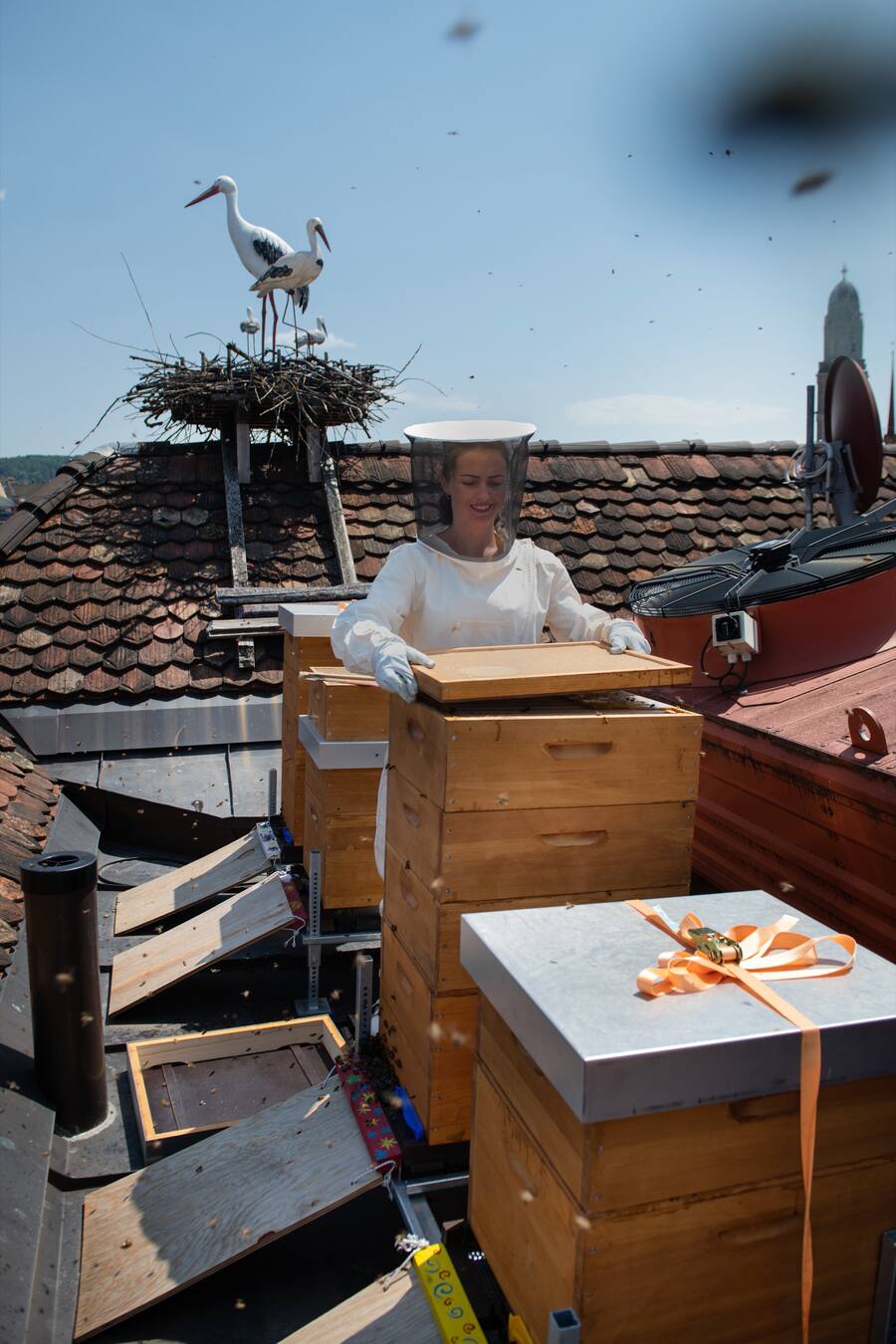 Bienen und Imkerin des Living Circle, Gault Millau, Imkerin Monika Istok, Hotel Storchen, Zürich ZH, 20. Juni 2022