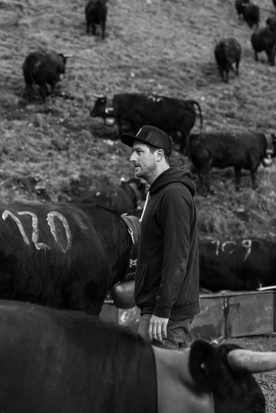 Lucas Oechslin, Luma - Mit Luma Delikatessen bei den Ehringerkühen im Wallis (Martigny) - 15. Juni 2022 - Copyright Olivia Pulver