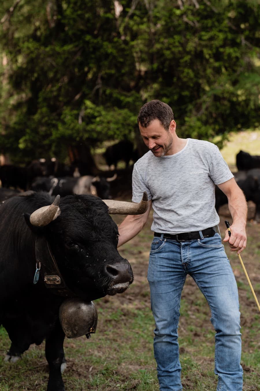Gaëtan Borgeaud, Metzger aus Martigny - Mit Luma Delikatessen bei den Ehringerkühen im Wallis (Martigny) - 15. Juni 2022 - Copyright Olivia Pulver