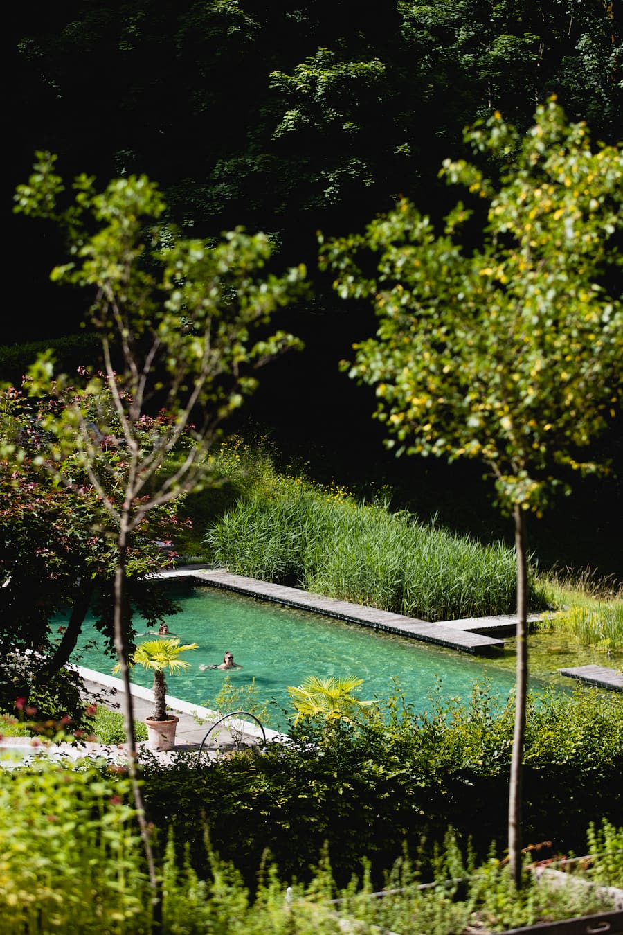 Grandhotel Giessbach Brienzersee Hotel Naturpool 2022