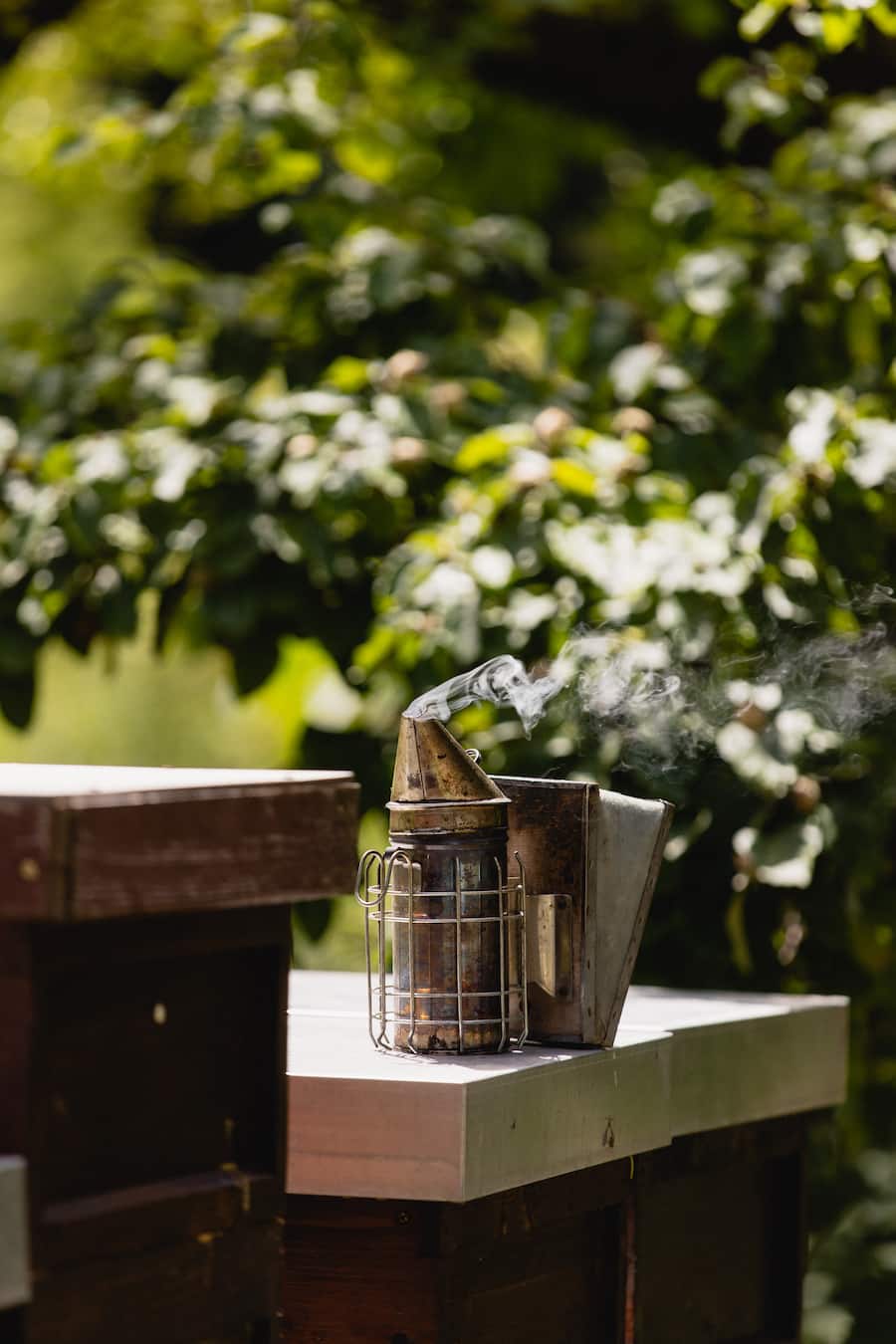 Grandhotel Giessbach Brienzersee Imkerei Honig 2022