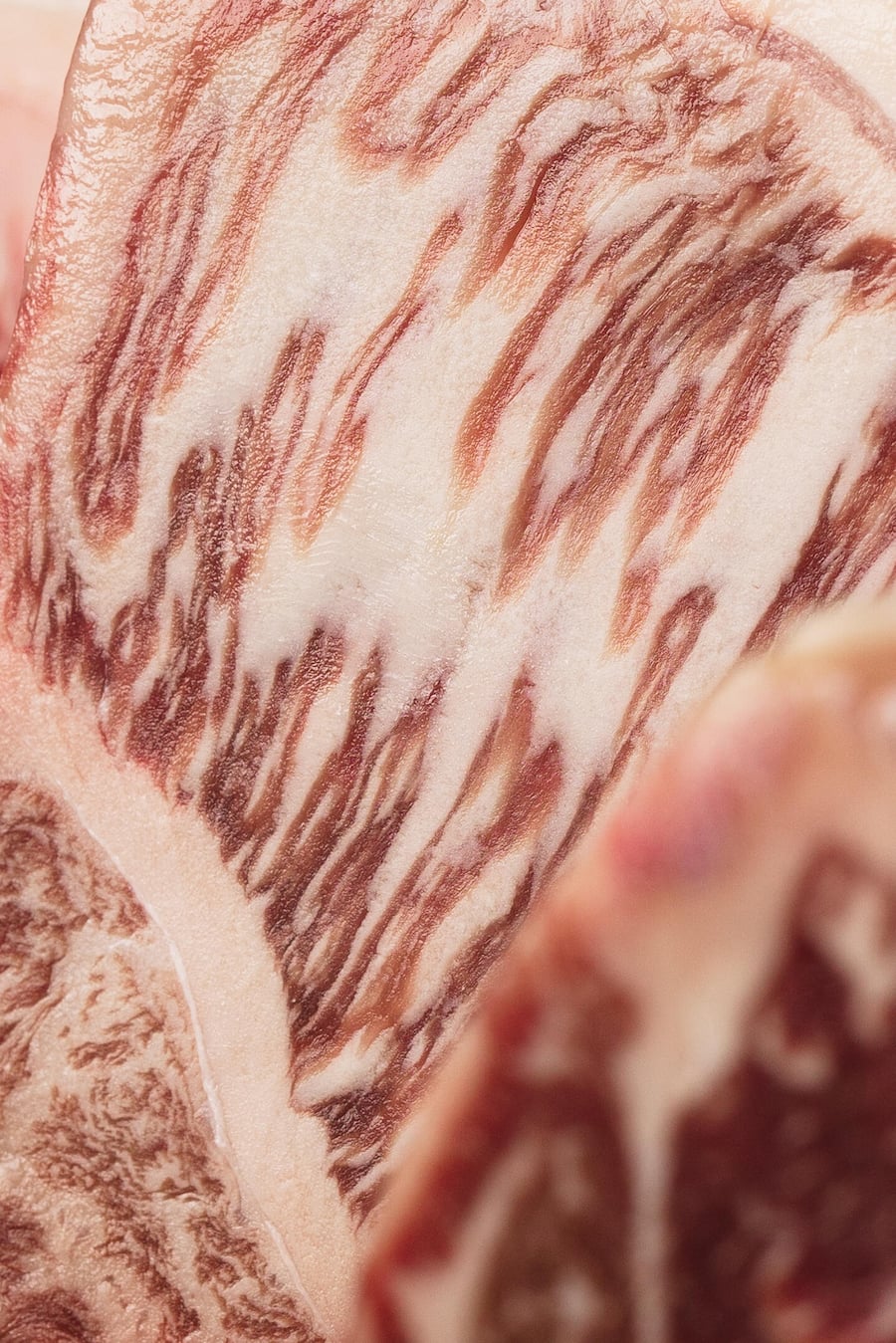 Original japanisches Wagyu A5 + - Luma Delikatessen - Lucas Oechslin und Marco Tessaro - Wagyu / Kobe - Copyright Olivia Pulver - 12. Mai 2022