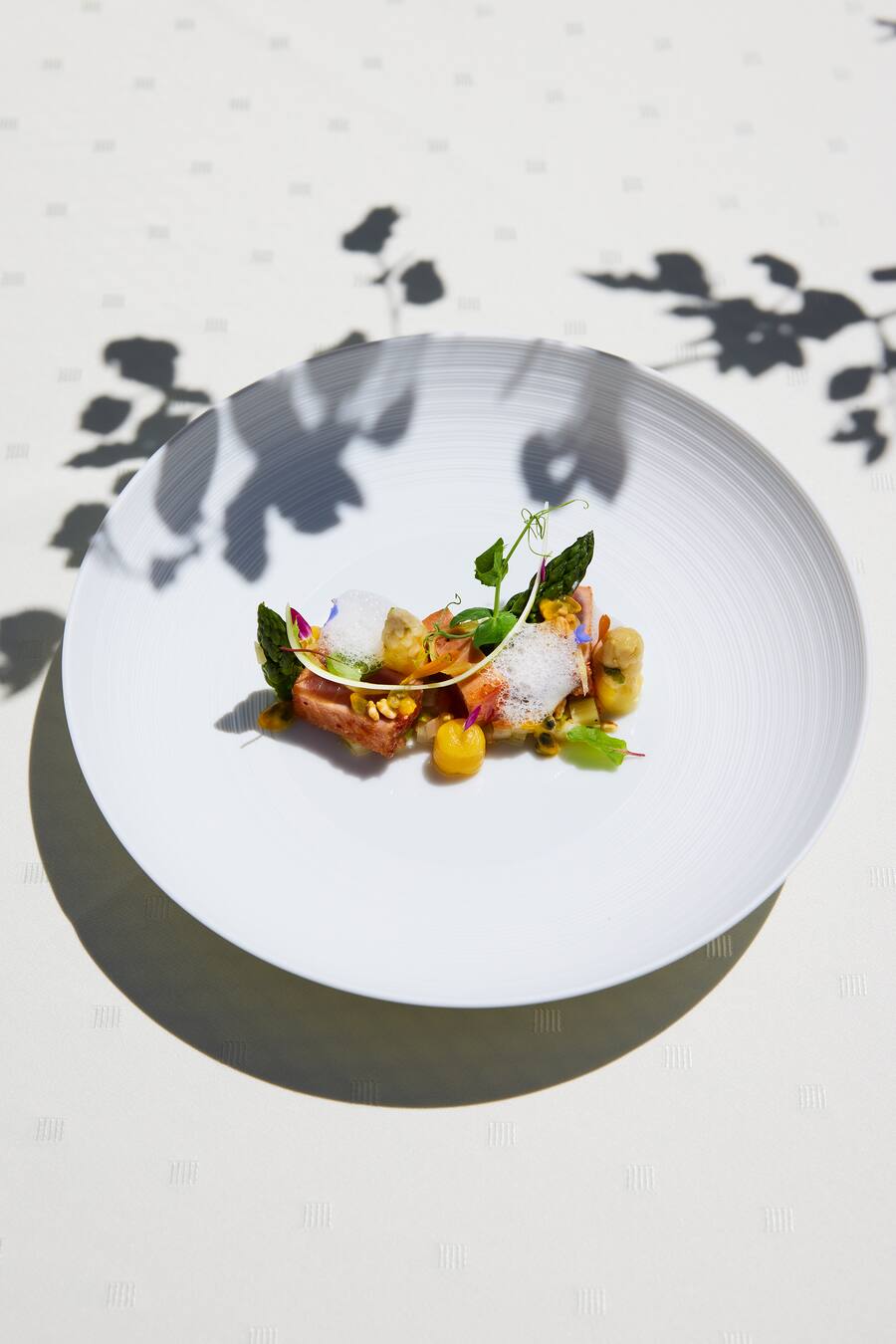 Thunfisch Silvia Manser