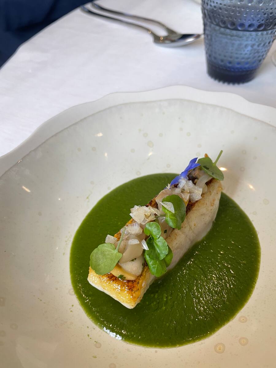 Zander, in crèmiger Kerbelsauce.