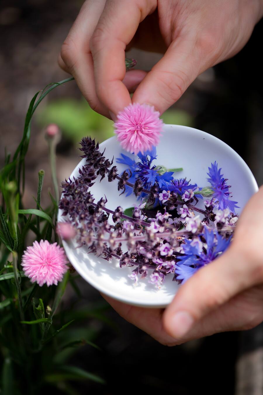 Appenzeller Bier Brauerei Locher Hof Weissbad