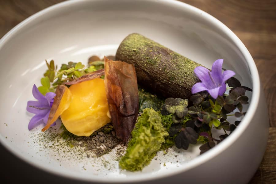 Dessert Schokolade mit Eiger Bean Kaffee und Holunder | Pfirsichsorbet | Sauerampfer