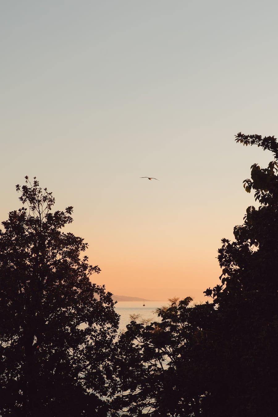 Palace Hotel Montreux - Swiss Deluxe Tour Juli 2022 - Copyright Olivia Pulver - 04.07.2022